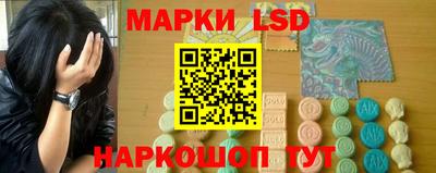 сатива Нальчик