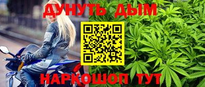 сатива Нальчик