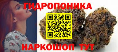 сатива Нальчик