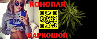 сатива Нальчик