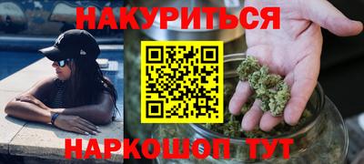 сатива Нальчик