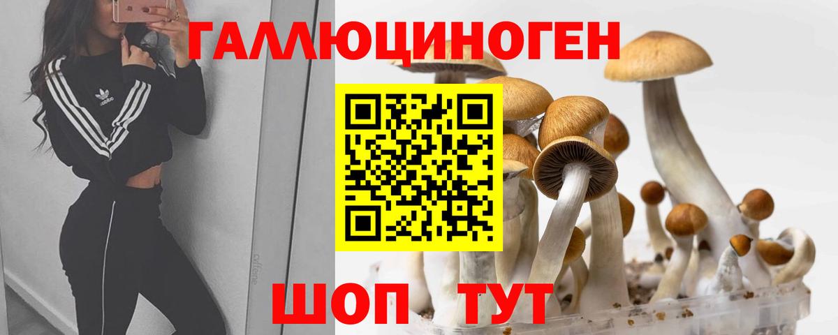Псилоцибиновые грибы Cubensis Барнаул